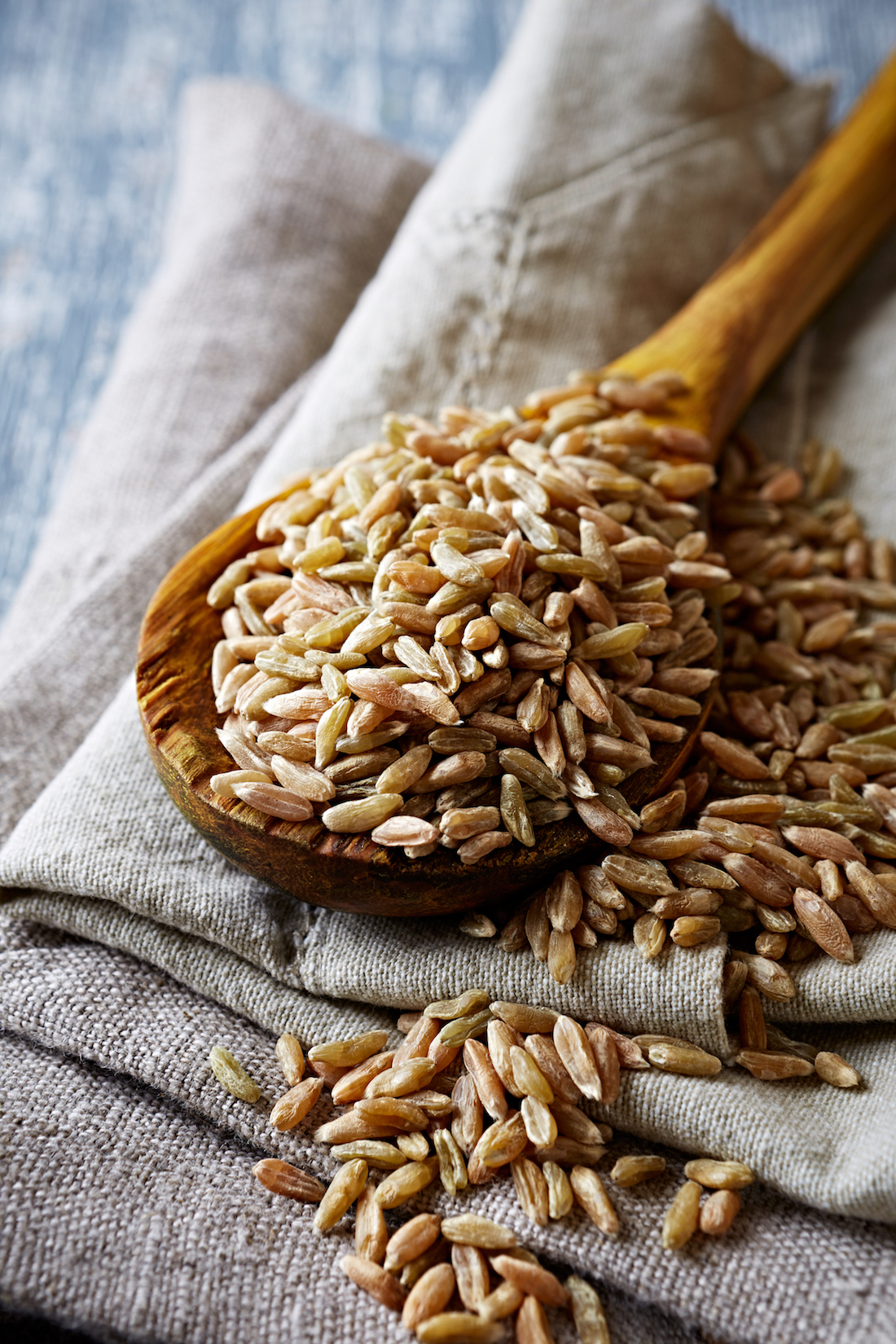 Epeautre ©Barbara Dudzinska shutterstock