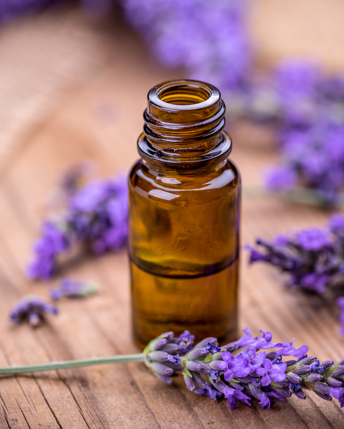 Huile essentielle de lavande ©grafvision shutterstock