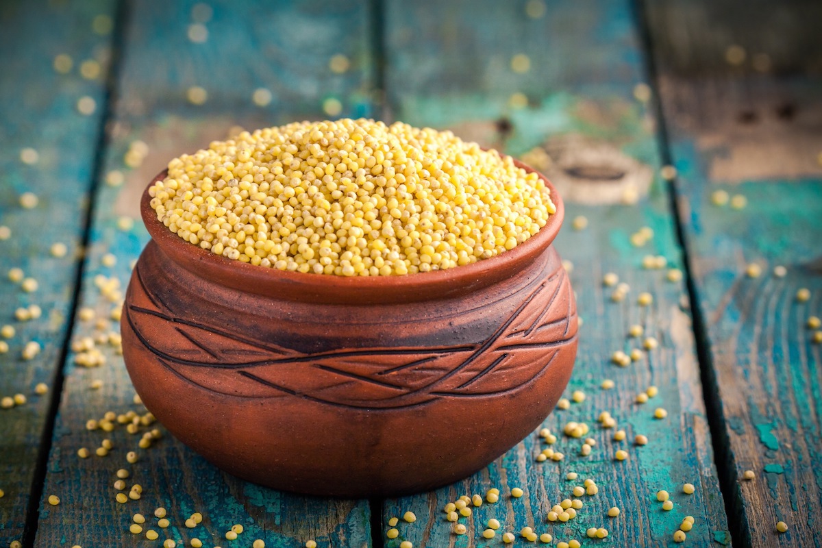 Millet ©Ekaterina Kondratova shutterstock