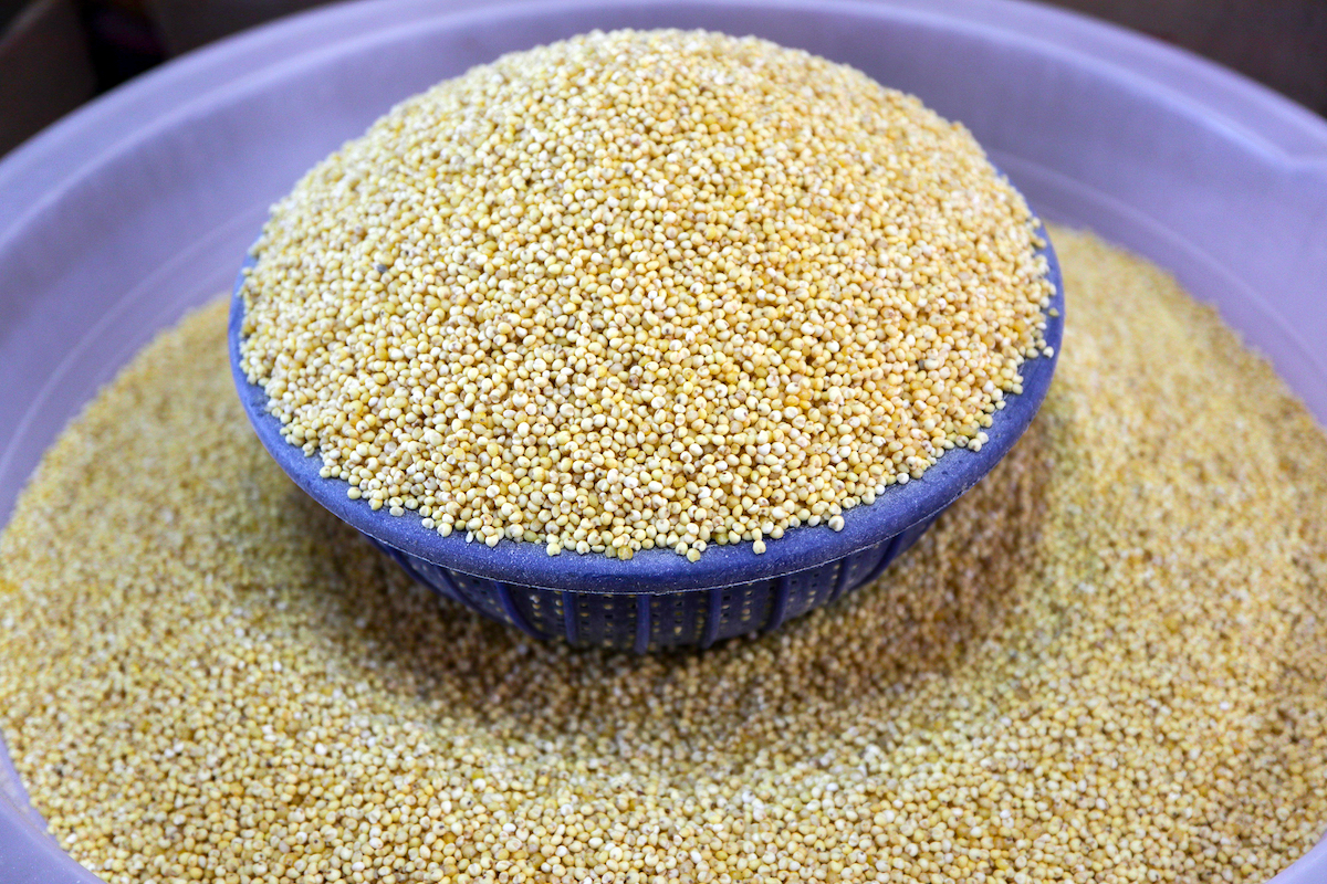 Panis ©kdsoo322 shutterstock