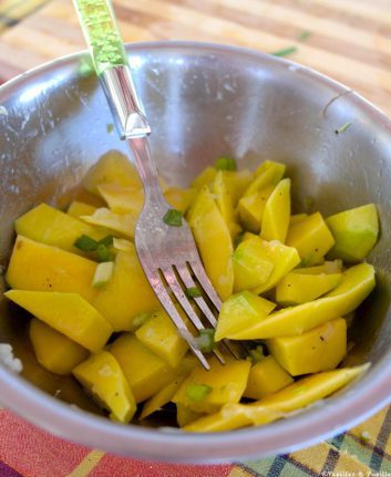 Salade de mangue verte épicée