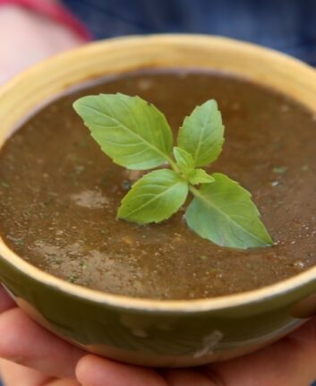 Sauce au basilic