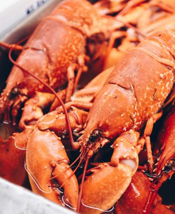 Homard © Linus Strandholm shutterstock