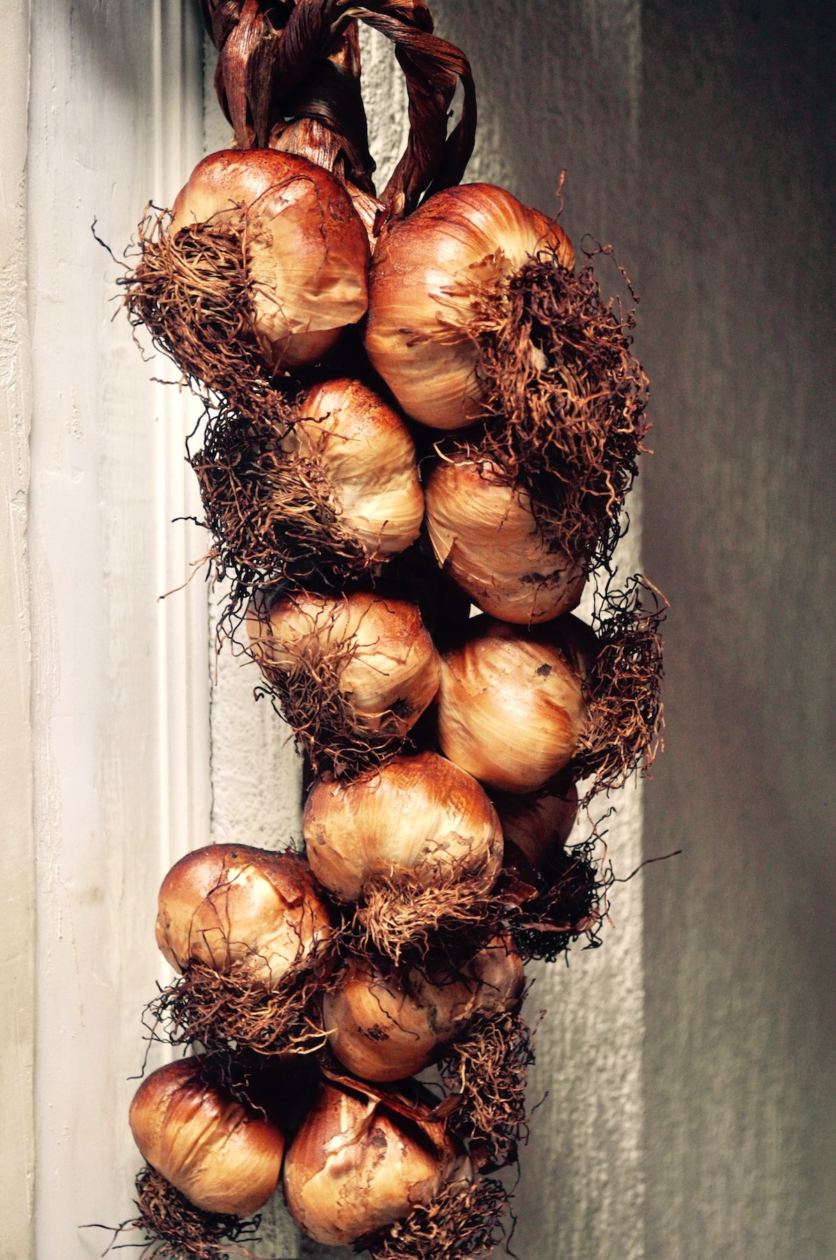 Ail fumé d'Arleux ©Thomas Lecavelier CC BY-NC 2.0