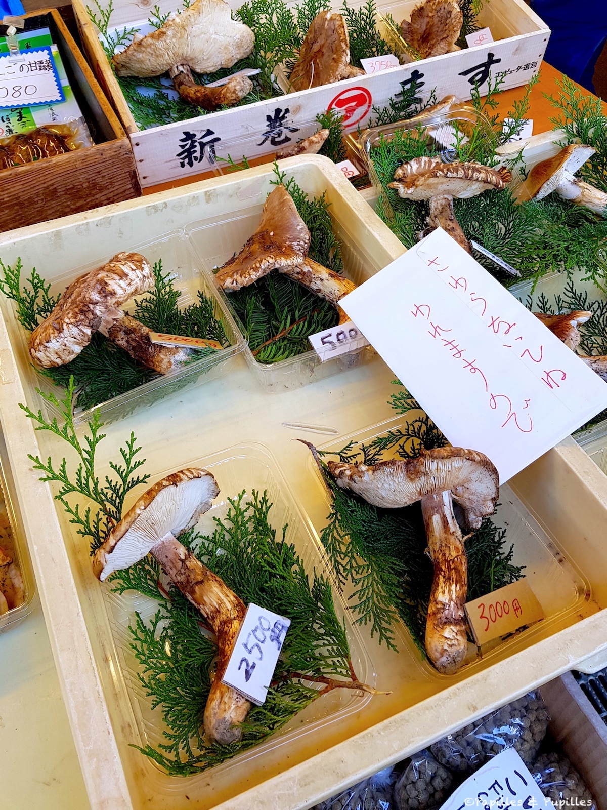 Matsusake, photographié ici sur le marché à Takayama