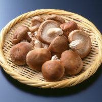 Shiitake ©funny face shutterstock