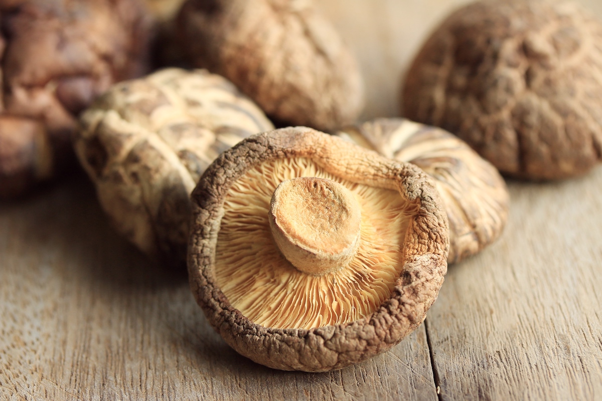 Shiitake séché ©Thanthima Lim shutterstock
