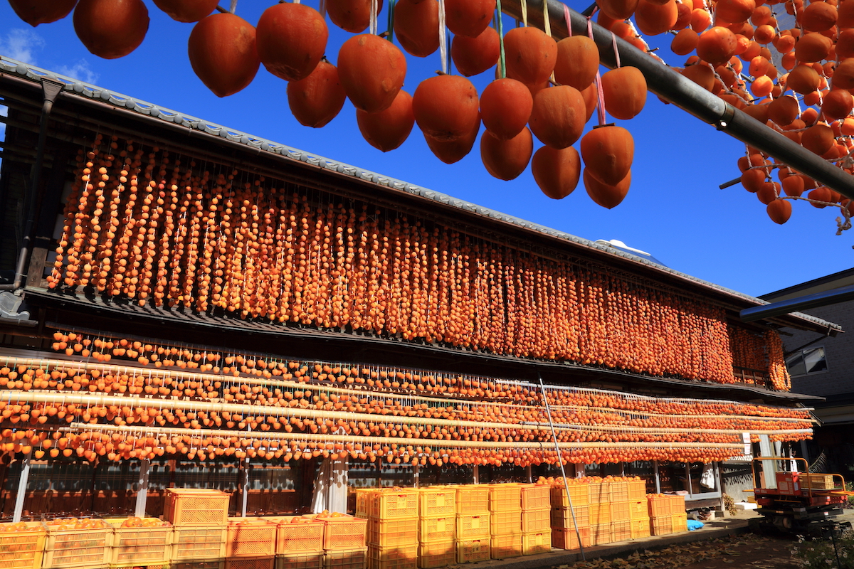 Séchage des kakis © Saethapoeng TRIECHORB. shutterstock