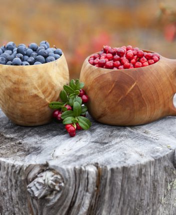 Le Régime Nordique Finlandais