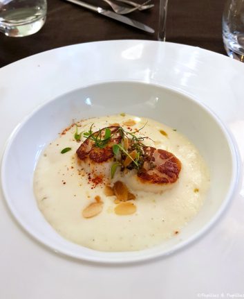 Coquilles Saint Jacques rôties, crème de chou fleur et vinaigrette aux amandes