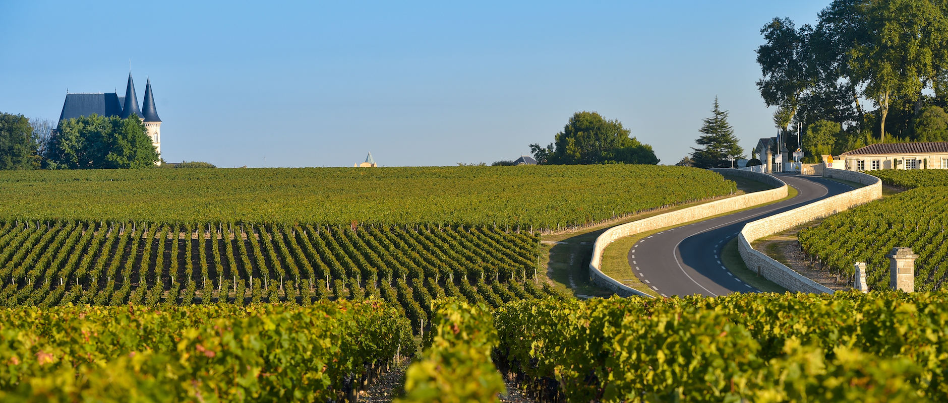 Vignoble Médoc Bordeaux ©FreeProd33 shutterstock