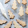Biscuits de Noël sans gluten et sans lactose