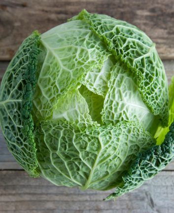 Chou vert ©Erhan Inga shutterstock