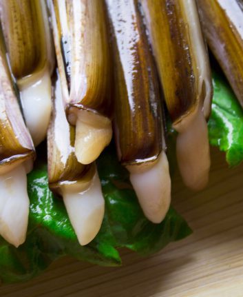 Couteaux © tetxu. shutterstock