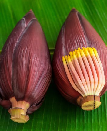 Fleurs de bananier ©CK Bangkok Photography shutterstock