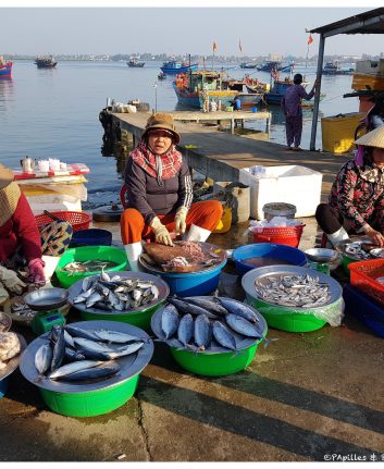 Marché aux poissons - Dames