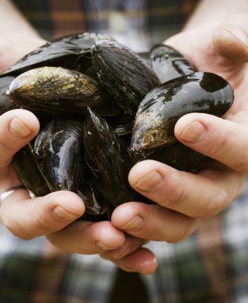 Moules ©MintImages shutterstock