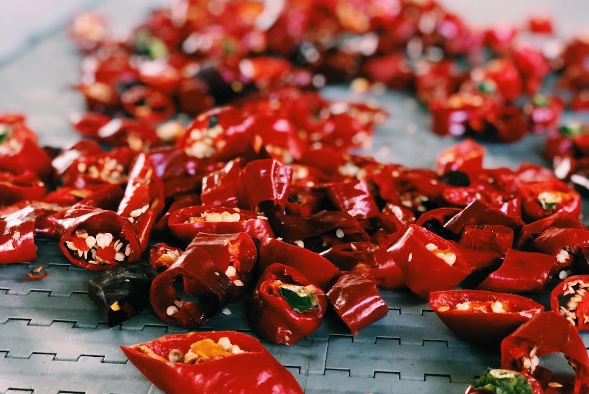 Piments du Béarn ©Maison Malnou