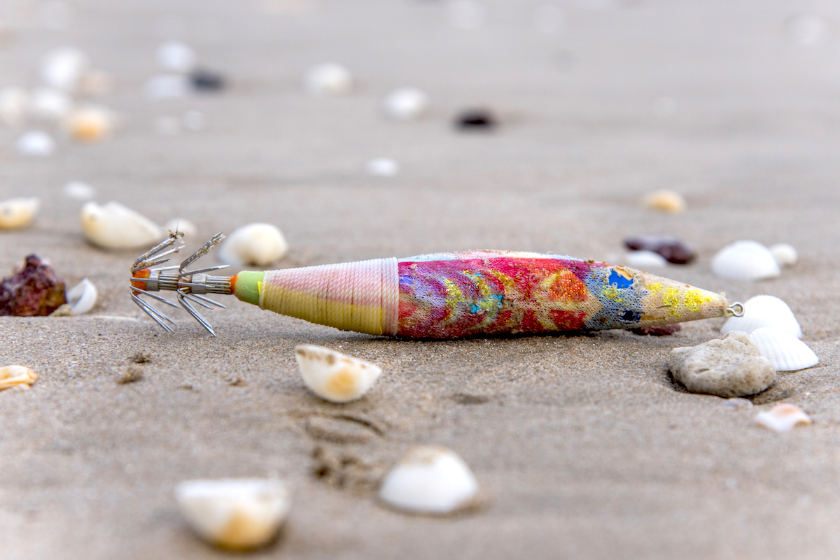 Turlutte ©Independent birds shutterstock