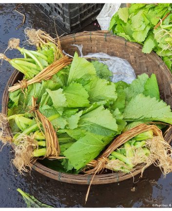 Feuilles de moutarde au marché