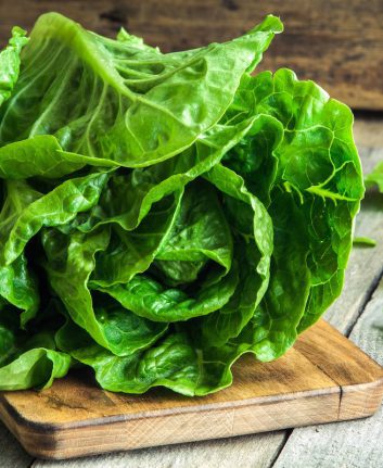Laitue romaine ©Ekaterina Kondratova shutterstock