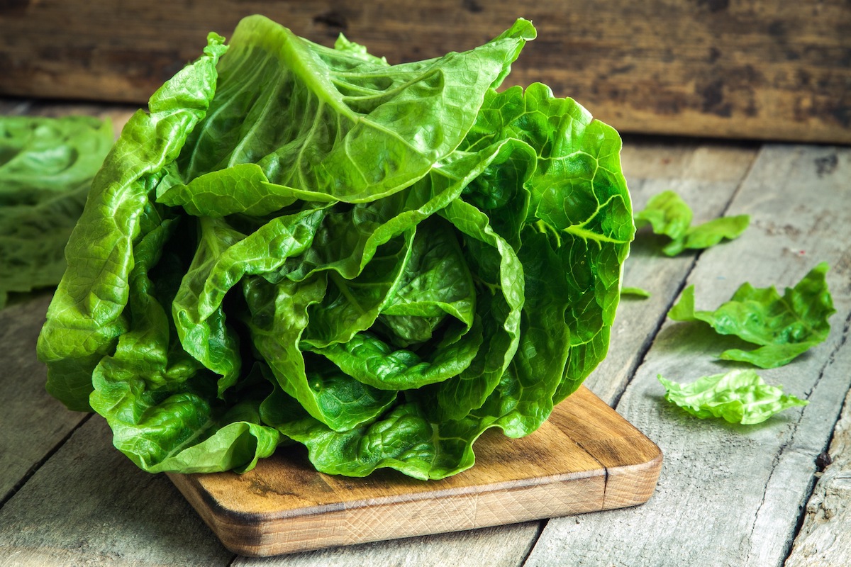 Laitue romaine ©Ekaterina Kondratova shutterstock