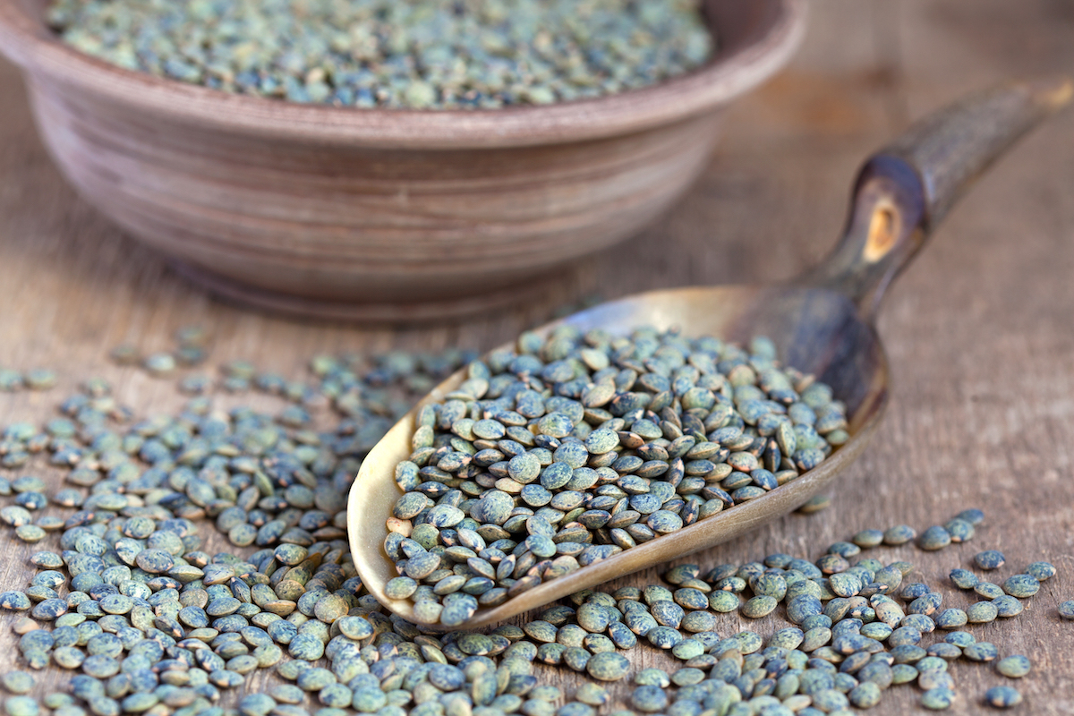 Lentilles vertes du Puy dans une cuillère en bois