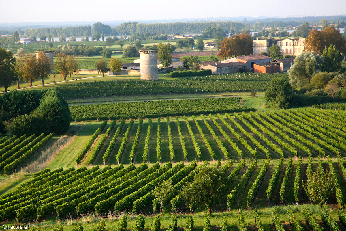Paysage valloné Bourg sur Gironde ©OT Bourg