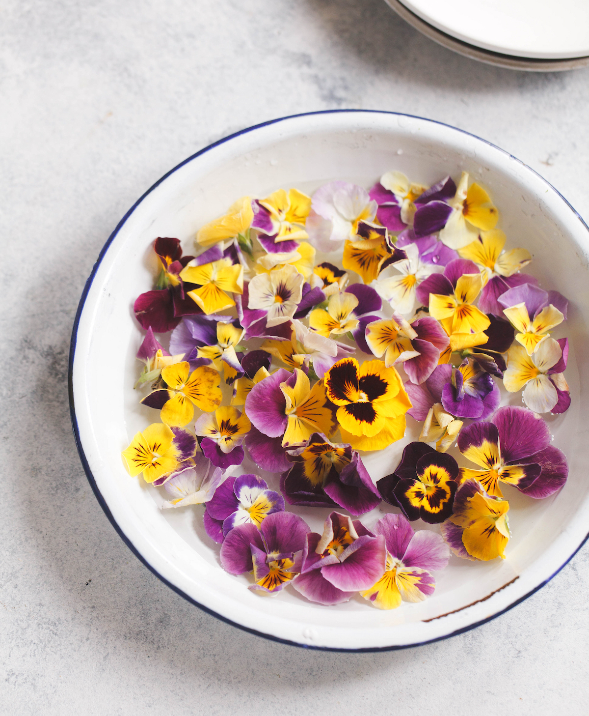 Pensées ©De casanisa. shutterstock