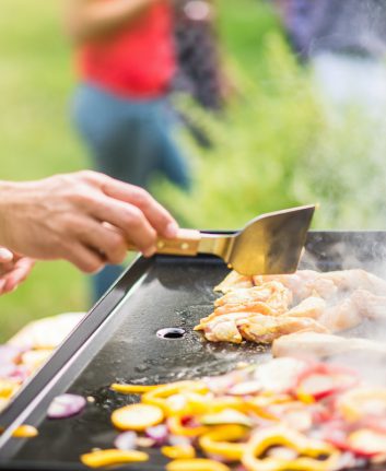 Plancha ©Jack Frog shutterstock