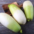 Radis Green Meat ©Nadia Yong shutterstock