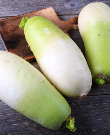 Radis Green Meat ©Nadia Yong shutterstock