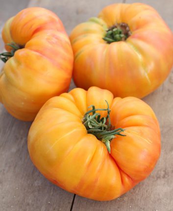 Tomates ananas ©DGSHUT shutterstock
