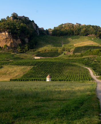 Vignoble Jura ©midgardson shutterstock