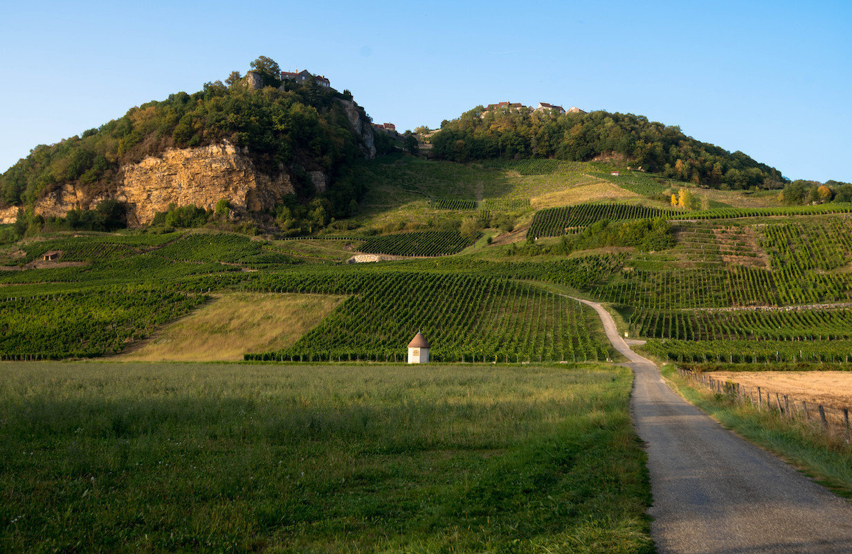 Vignoble Jura ©midgardson shutterstock