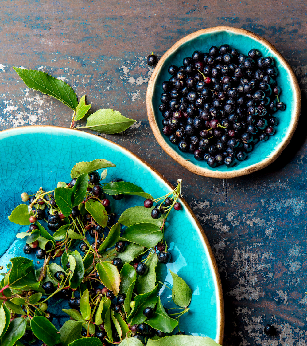 Baies de maqui - ©De Larisa Blinova shutterstock