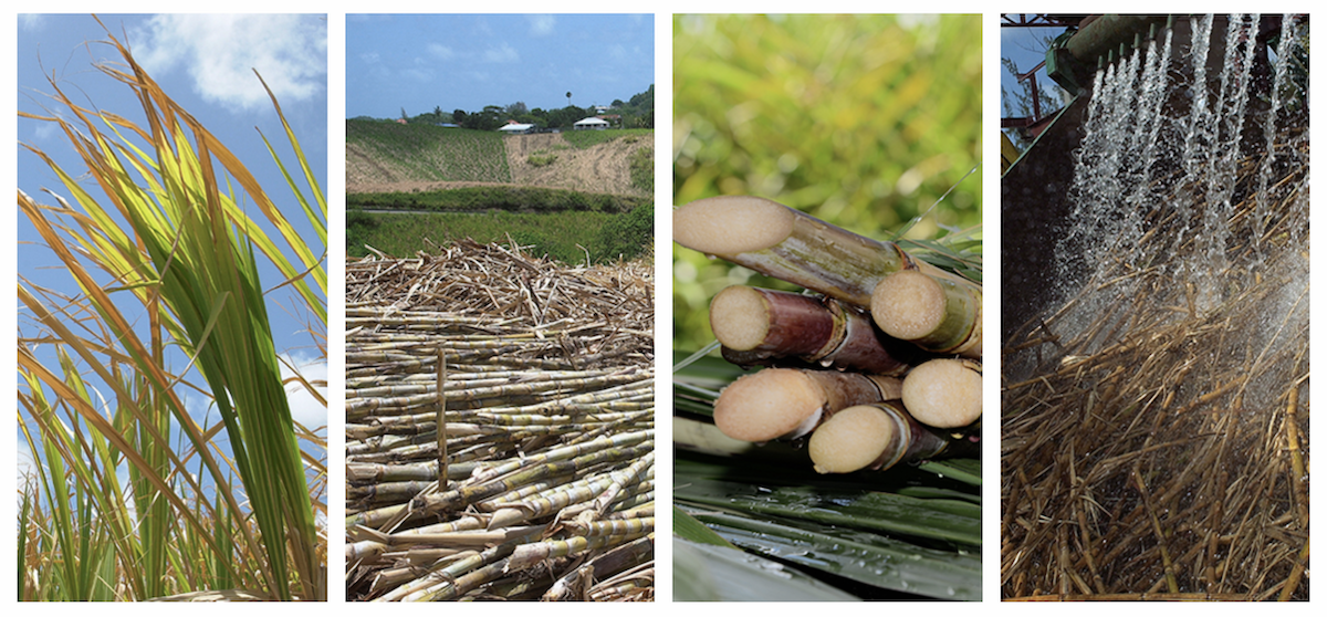 Fabrication du Canadou ©Canadou