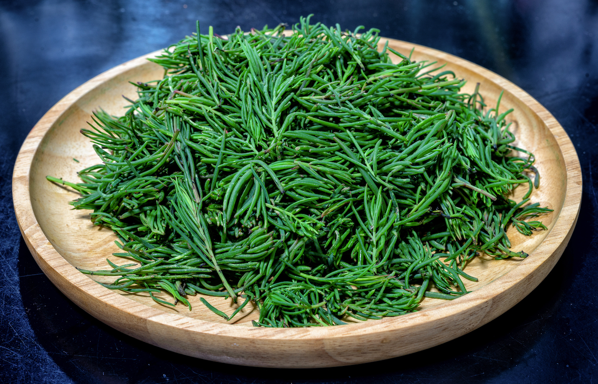 Soude Maritime ©Chongsiri Chaitongngam shutterstock