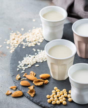 Laits végétaux ©Antonina Vlasova shutterstock