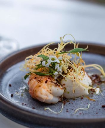 Langoustine, cendres citron vert, tomates cassantes, brousse de brebis, huile citronnée
