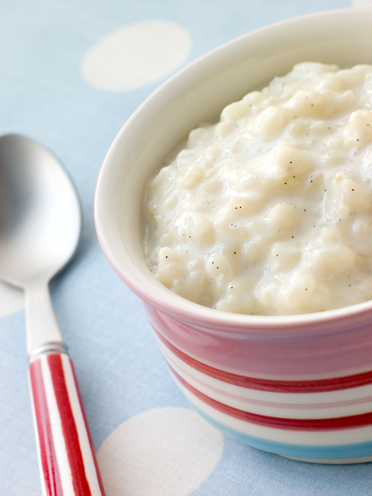 Riz au lait ©Meriluxa shutterstock