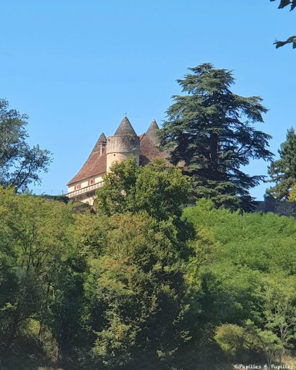 Château de Fénelon