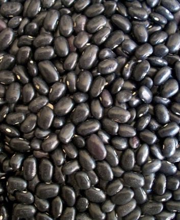 Haricots noirs ©PublicDomainPictures CC0 Pixabay
