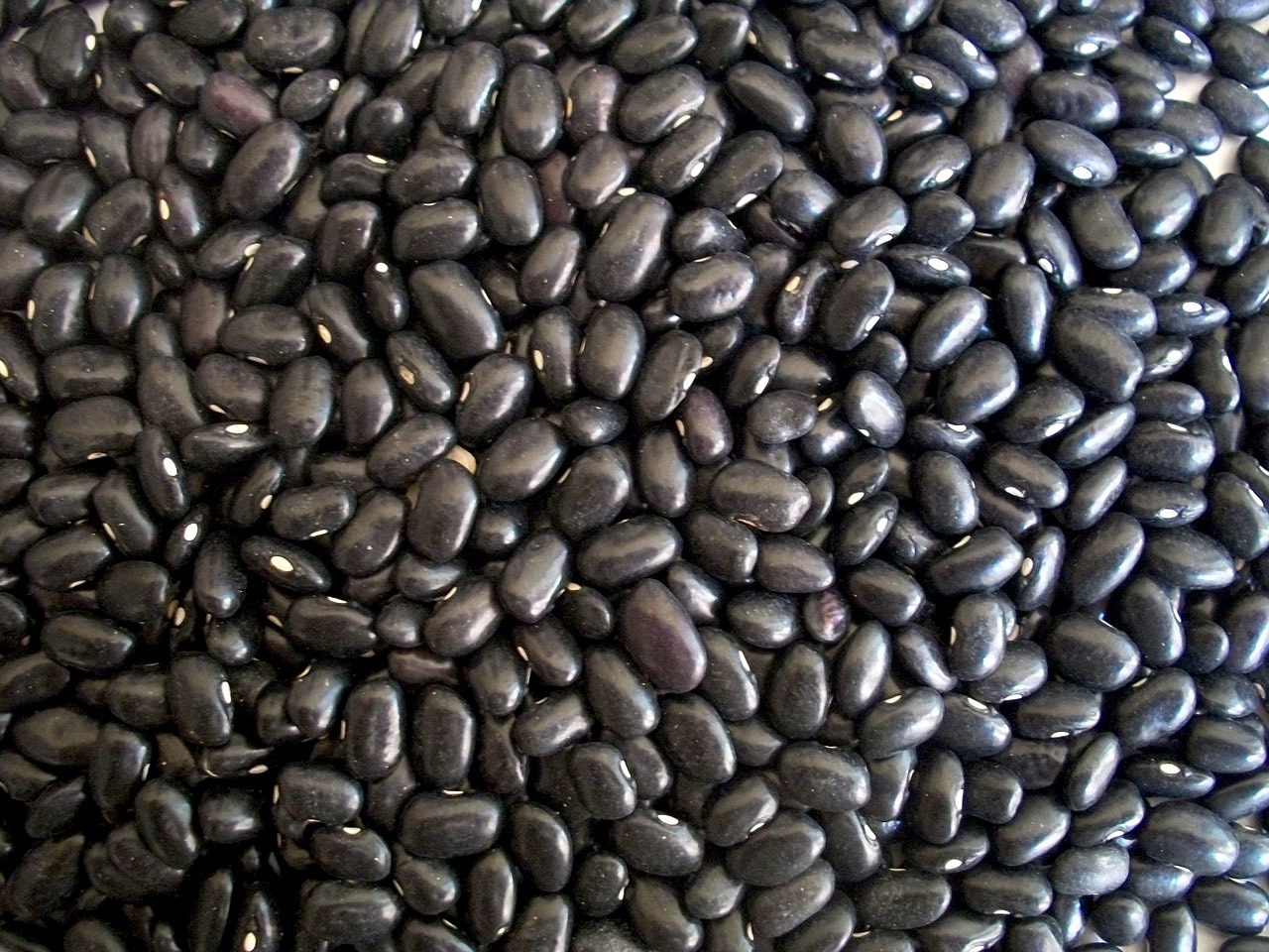Haricots noirs ©PublicDomainPictures CC0 Pixabay