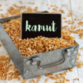 Kamut ©Karissaa shutterstock