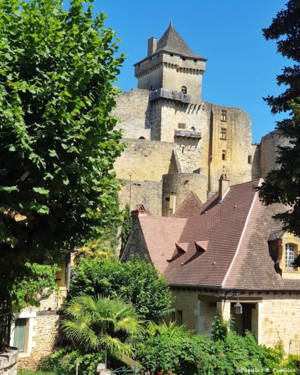 Château de Castelnaud la Chapelle