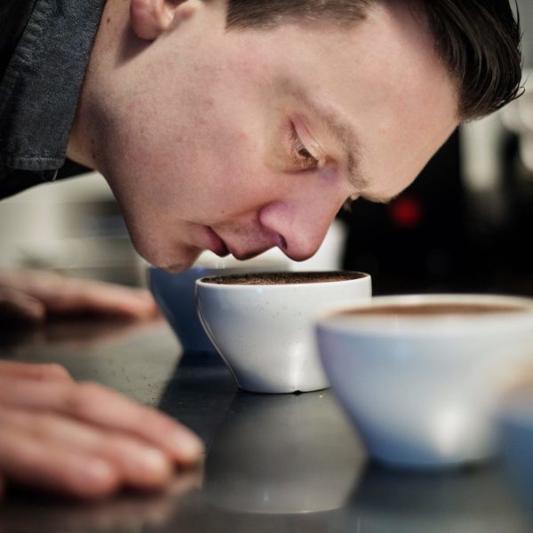 Dégustations ©TImWendelboe