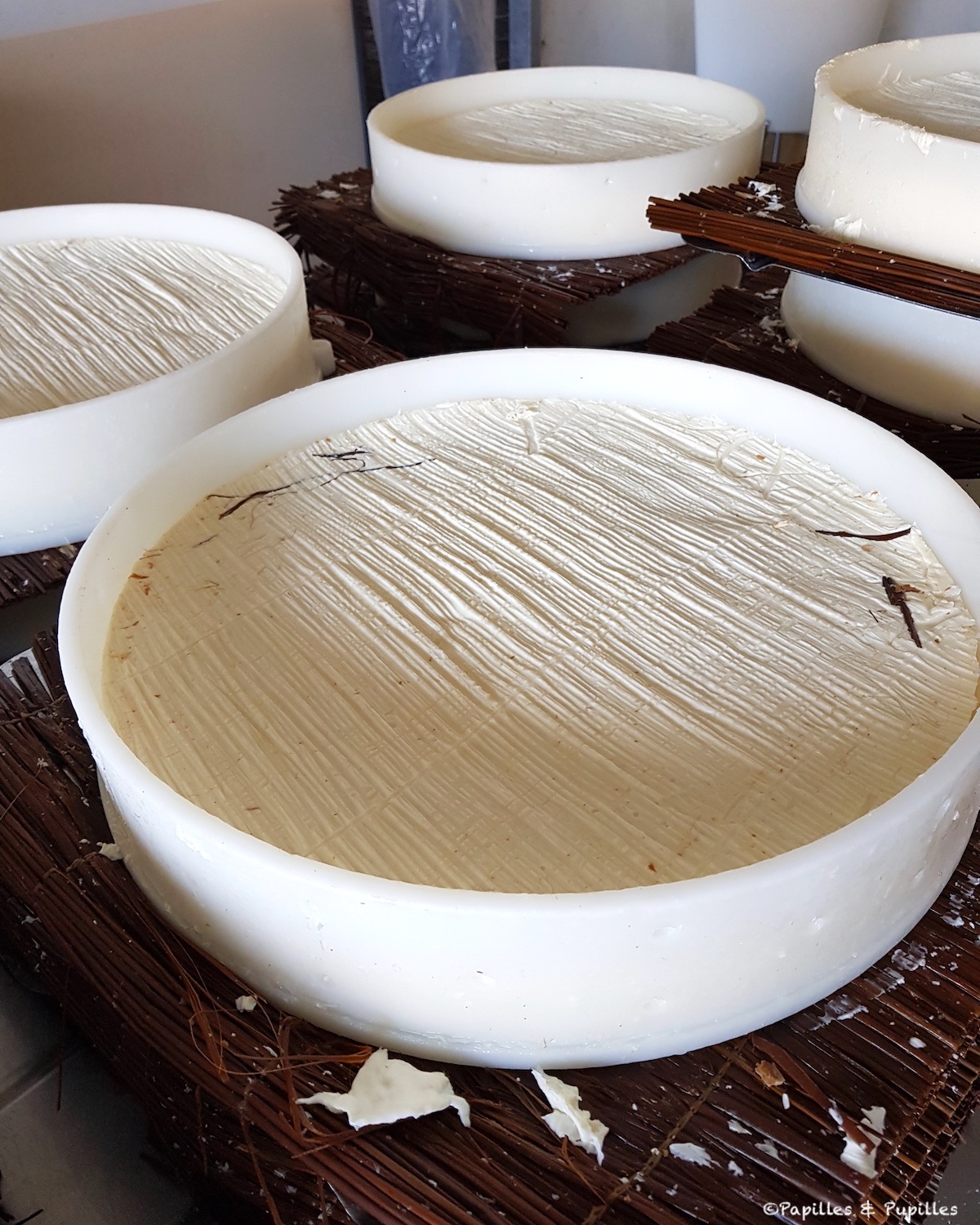 Fabrication du Brie de Meaux