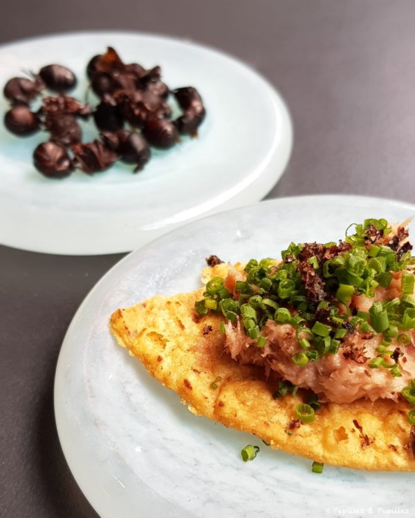 Toast Pâté de poissons et fourmi