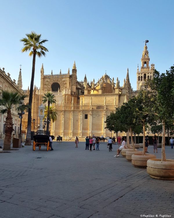 Cathédrale de Séville